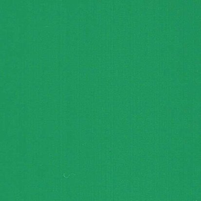 Cactus Green - Vinyl Mat AVERY DENNISON 61,5cm x 10m